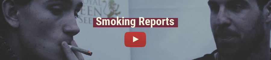 Raporty z palenia