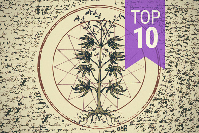 Dziesięć najpopularniejszych mitów na temat marihuany