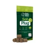 Soil Plugs — Krążki glebowe