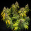 Triple G Auto
