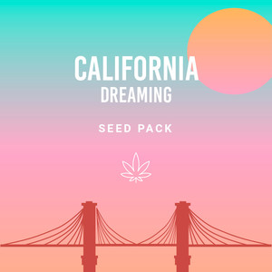 Zestaw „California Dreamin'”