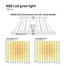 RQS lampa LED do uprawy 450 W