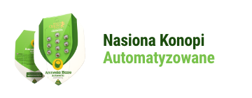nasiona-konopy-automatyzowane