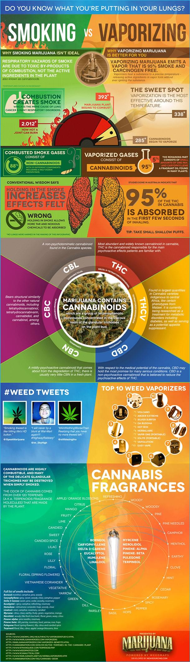 Smoking Cannabis vs Vaporizing Cannabis