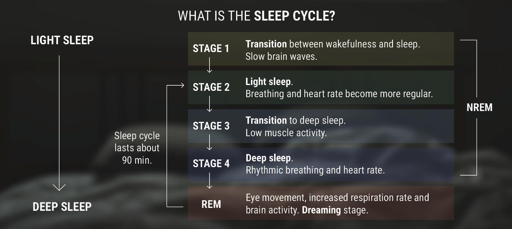 Co to jest cykl snu?