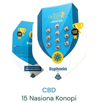 nasiona-konopy-cbd