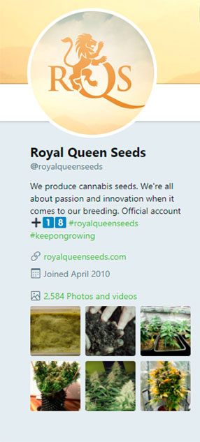 Twitter RQS Twitter