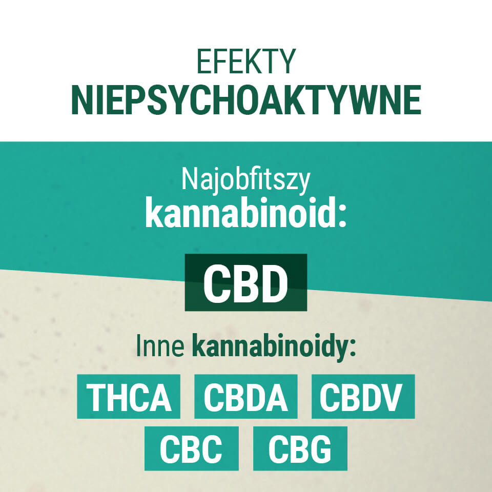Efekty Niepsychoaktywne Kannabinoid