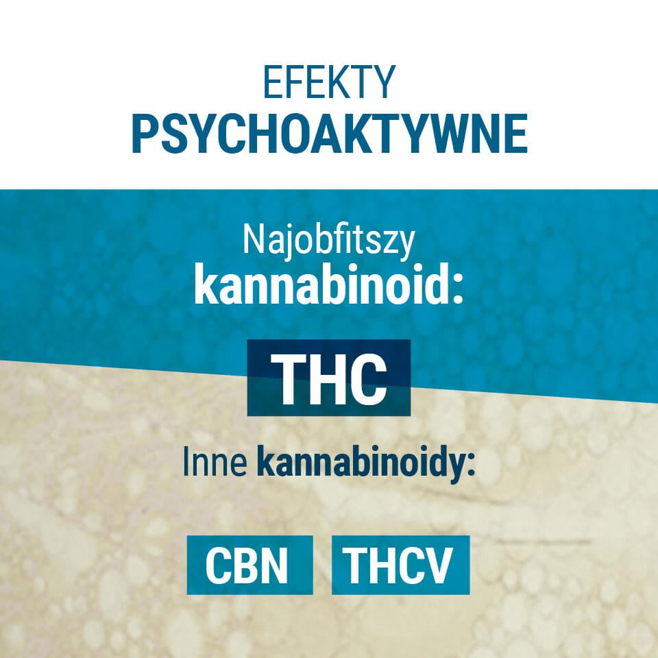 Efekty Psychoaktywne THC