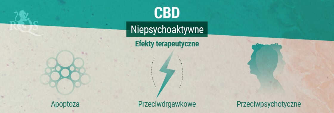 Efekty terapeutyczne CBD