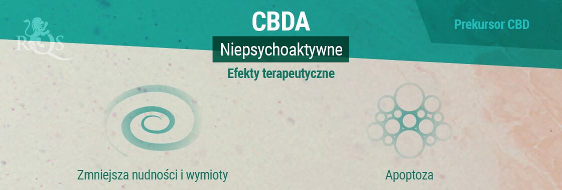 Efekty terapeutyczne CBDA