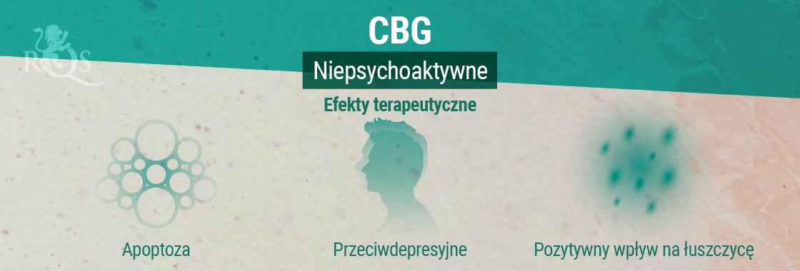 Efekty terapeutyczne CBG