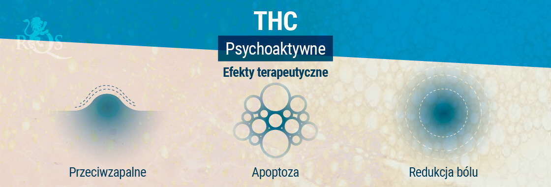 Efekty terapeutyczne THC 