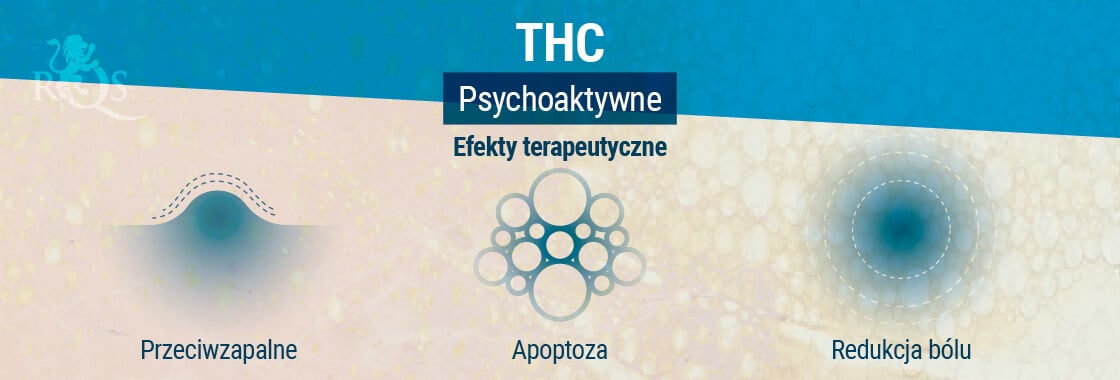 Efekty terapeutyczne THC 