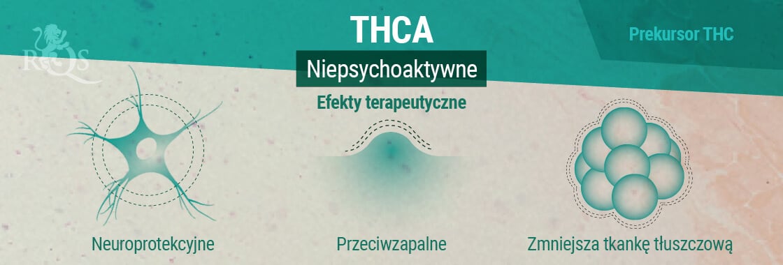 Efekty terapeutyczne THCA