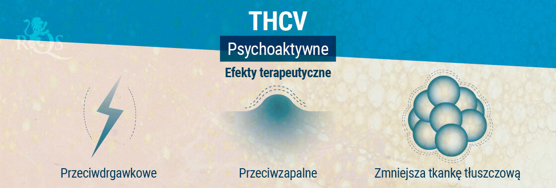 Efekty terapeutyczne THCV