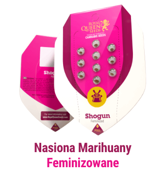 nasiona-marihuany-feminizowane