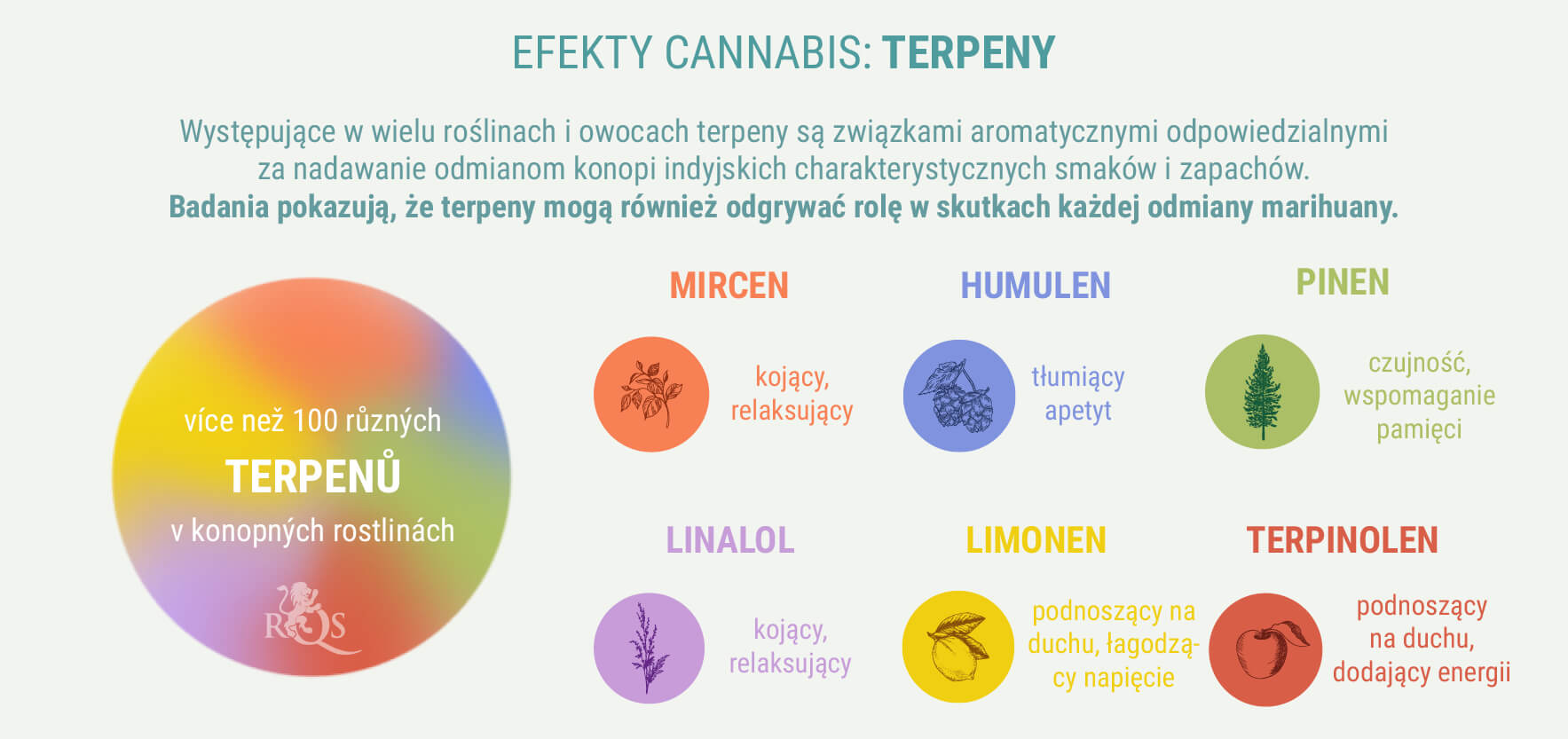 SPECJALNE MIESZANKI INDICA I SATIVA SPECJALNE MIESZANKI INDICA I SATIVA