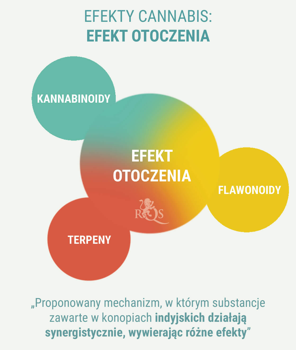 CZY INDICA I SATIVA MAJĄ RÓŻNE DZIAŁANIE? CZY INDICA I SATIVA MAJĄ RÓŻNE DZIAŁANIE?