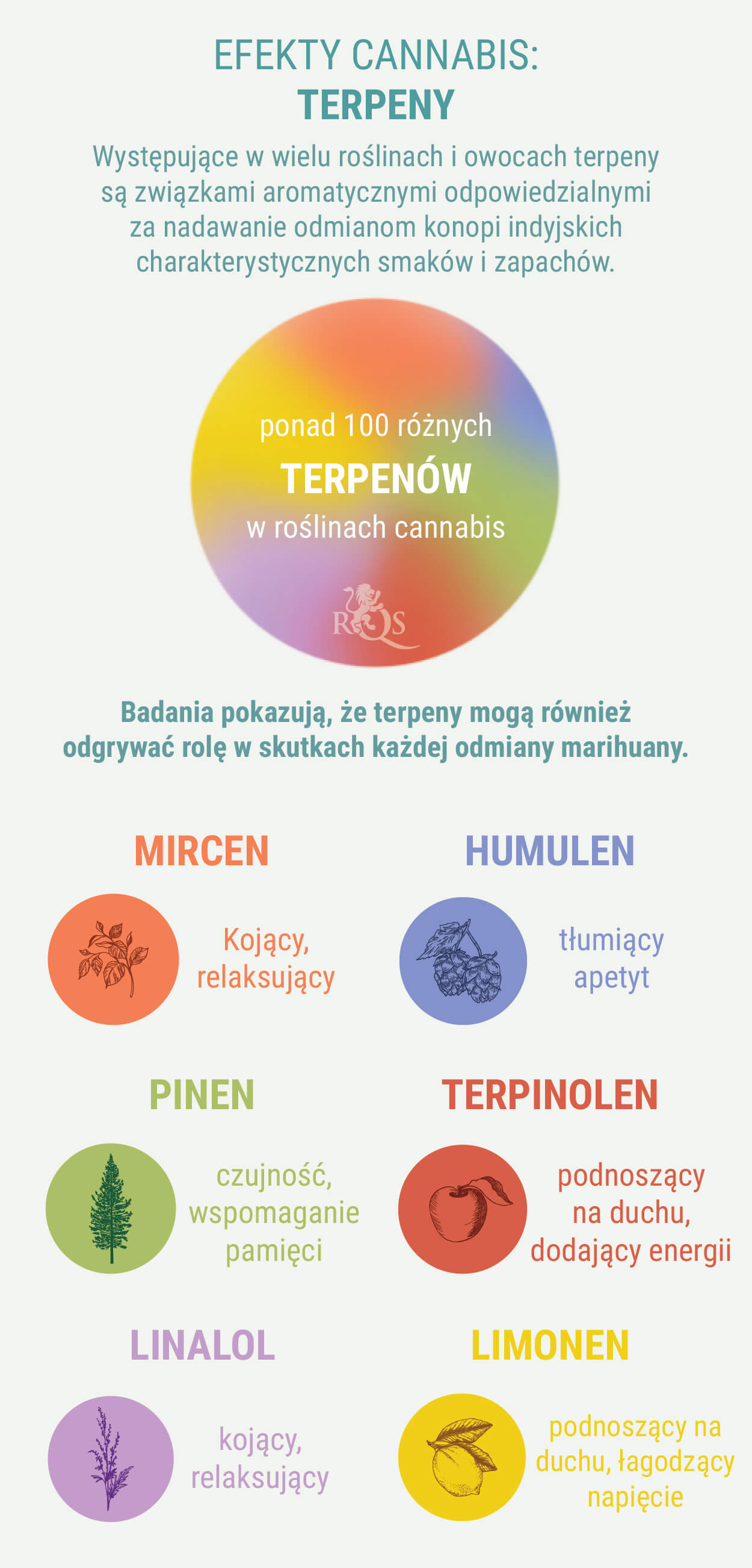 SPECJALNE MIESZANKI INDICA I SATIVA SPECJALNE MIESZANKI INDICA I SATIVA