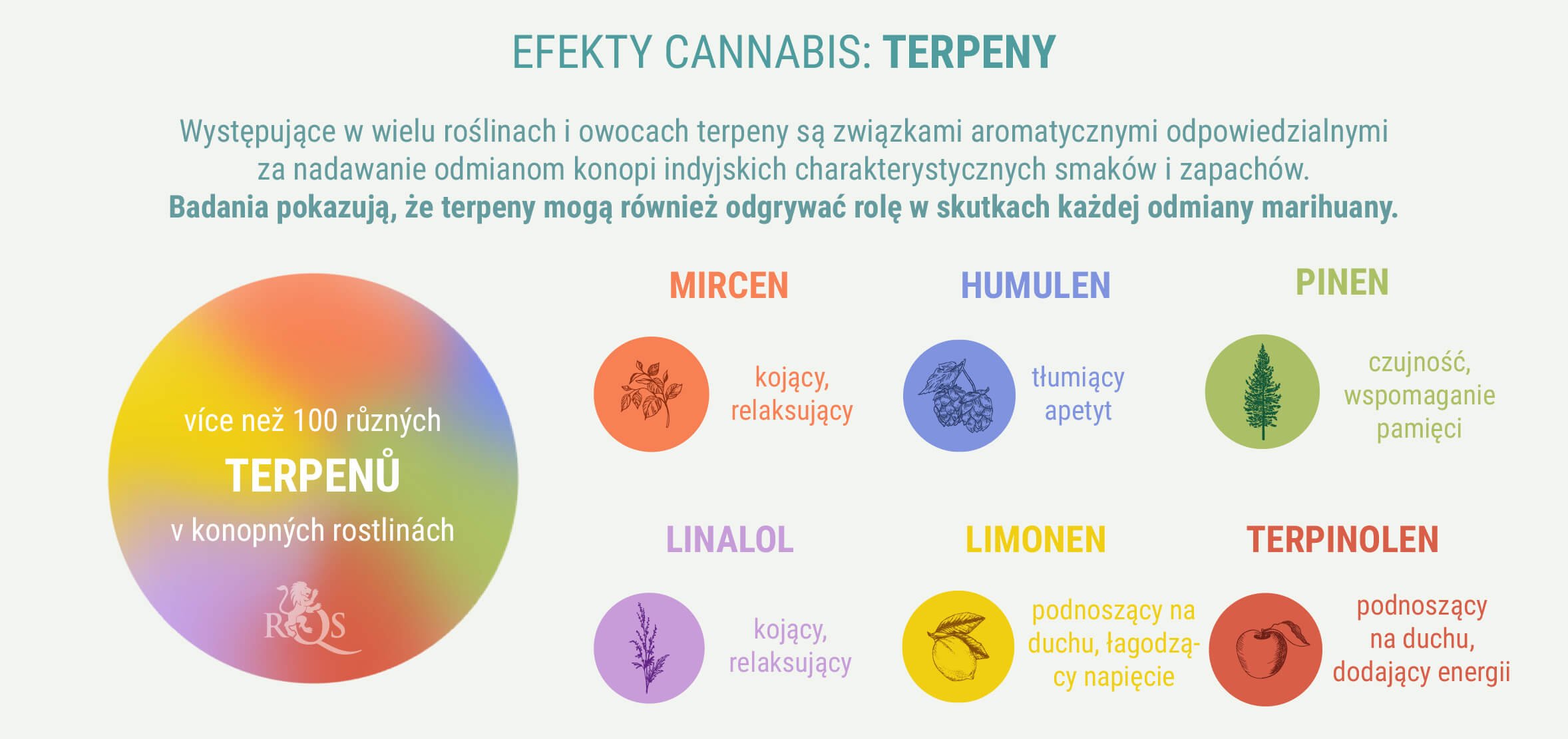 SPECJALNE MIESZANKI INDICA I SATIVA