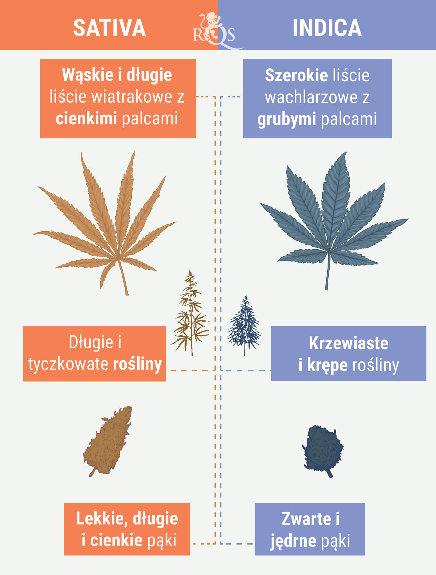 ODRÓŻNIANIE ODMIAN INDICA OD ODMIAN SATIVA