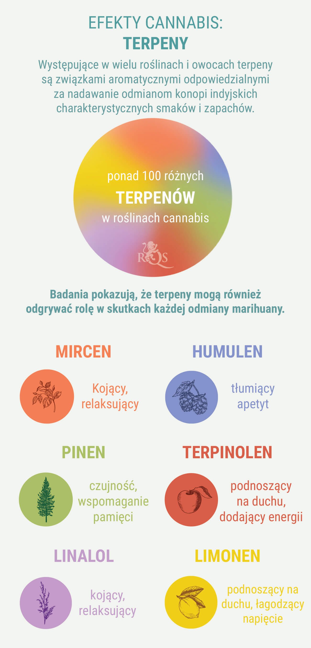 SPECJALNE MIESZANKI INDICA I SATIVA