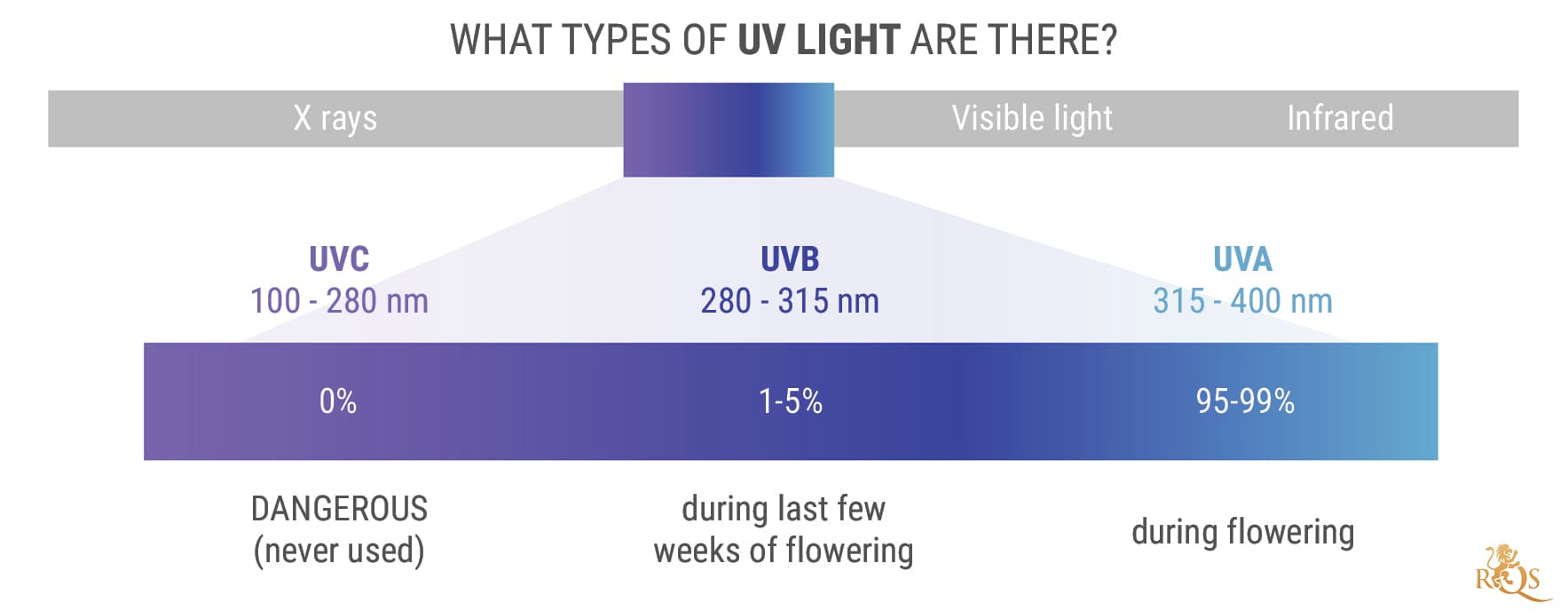 Jakie są rodzaje światła UV? Jakie są rodzaje światła UV?