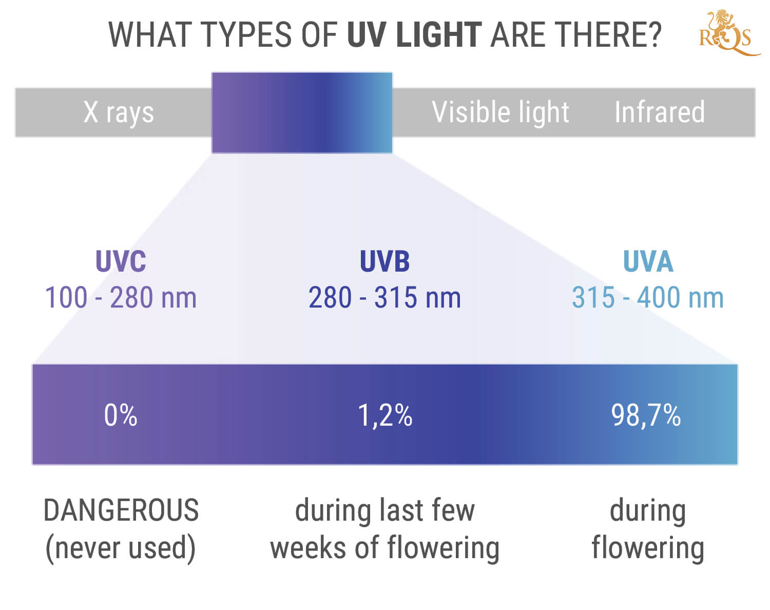 Jakie są rodzaje światła UV?