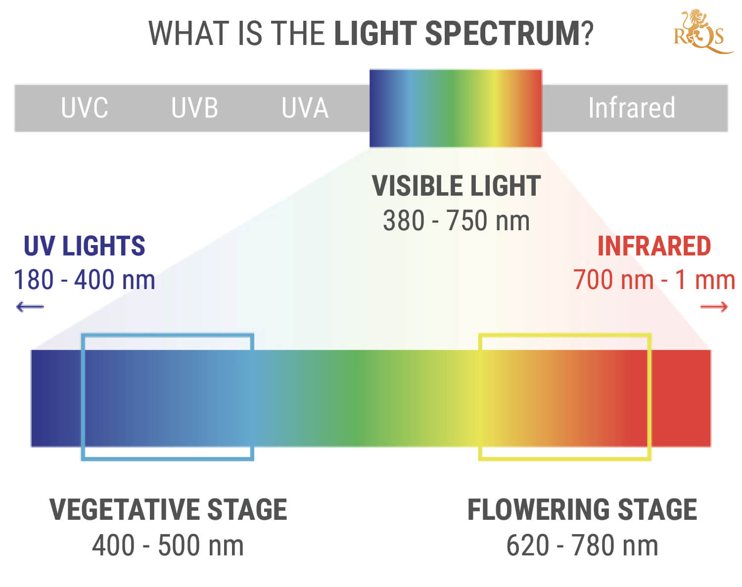 Czym jest widmo światła?