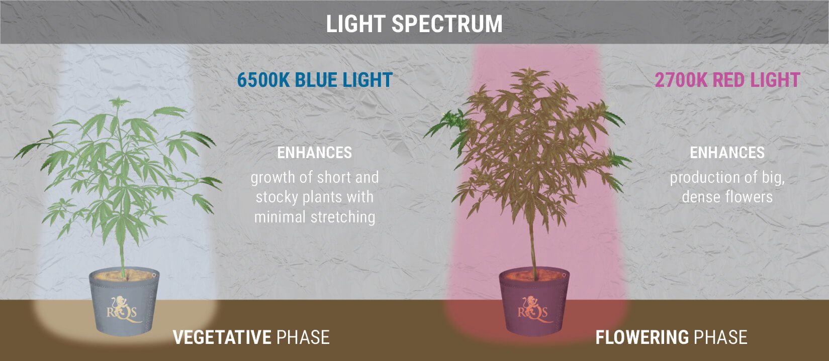 A NOTE ON LIGHT SPECTRUM A NOTE ON LIGHT SPECTRUM