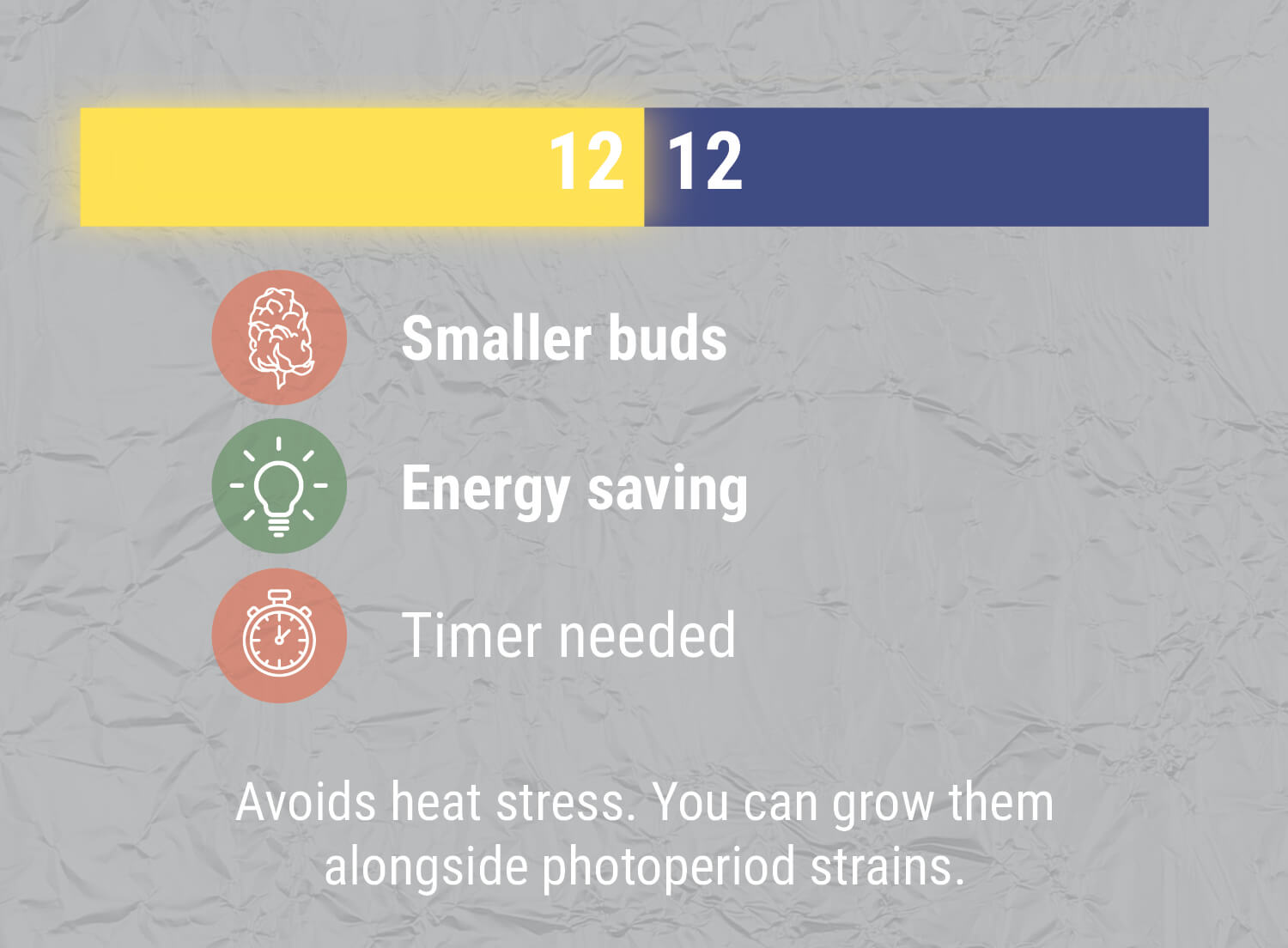 WHAT ABOUT A 12/12 LIGHT CYCLE? WHAT ABOUT A 12/12 LIGHT CYCLE?
