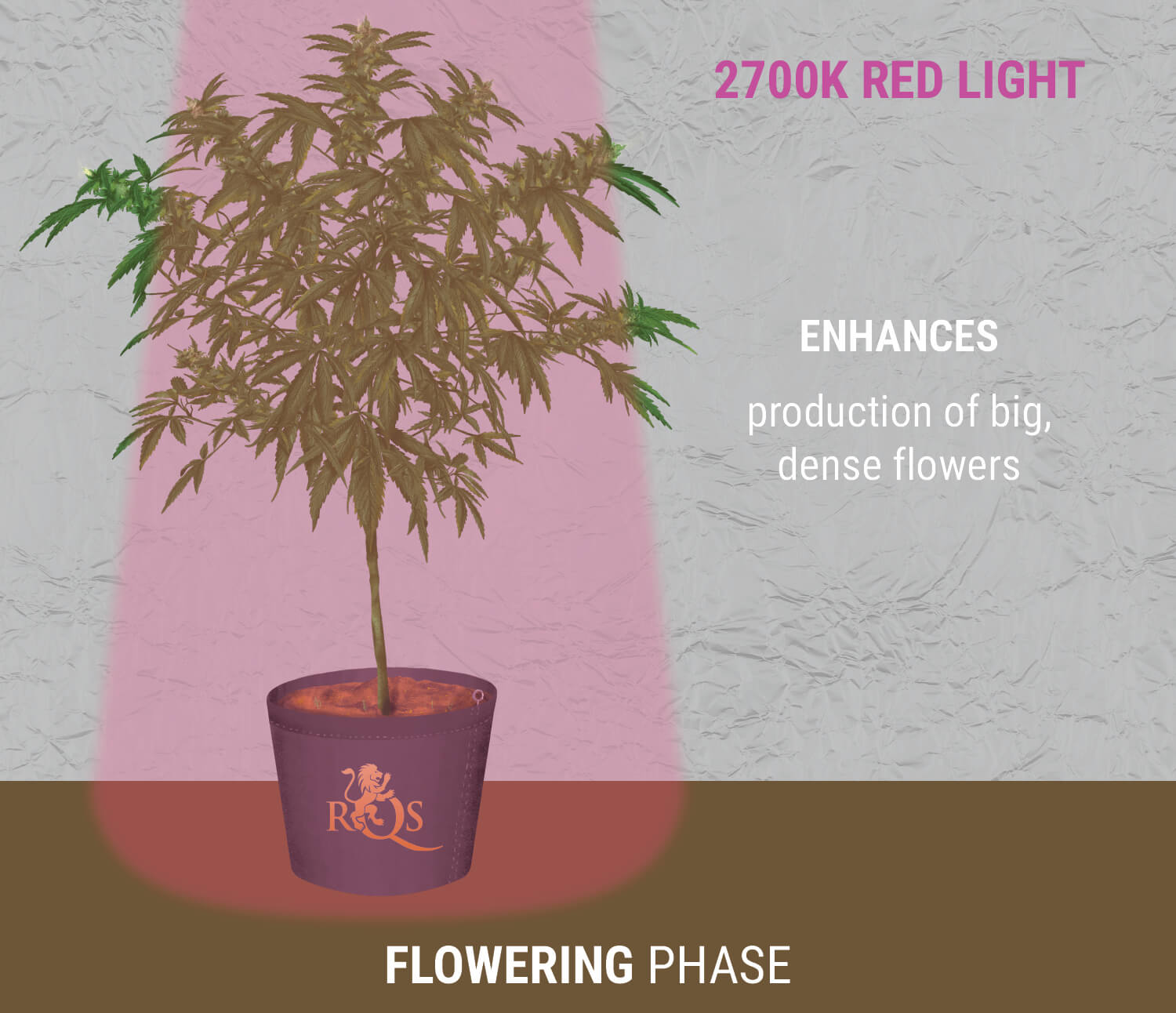 2700K red light during flowering 2700K red light during flowering