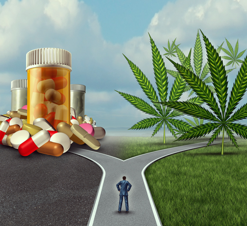 migraine cannabis pill headache treatment