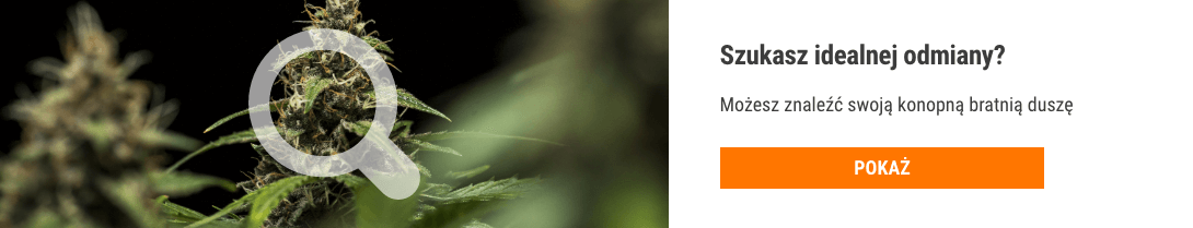 Cannabis Seedfinder