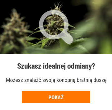 Cannabis Seedfinder