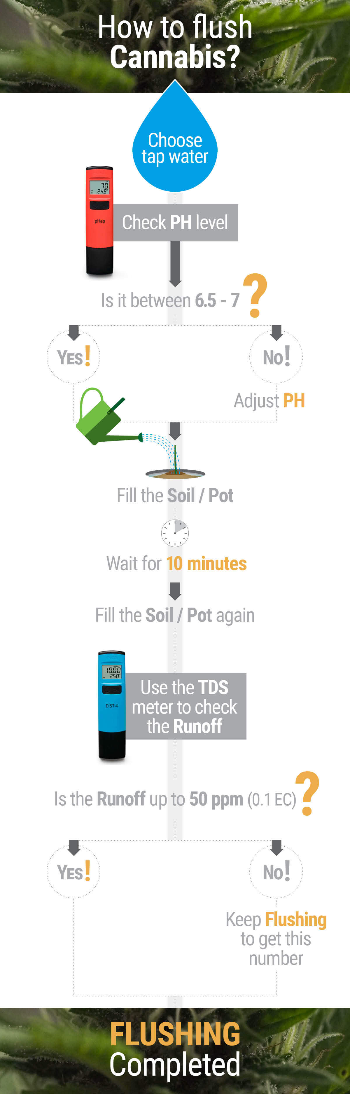 How and When to Flush Marijuana Plants