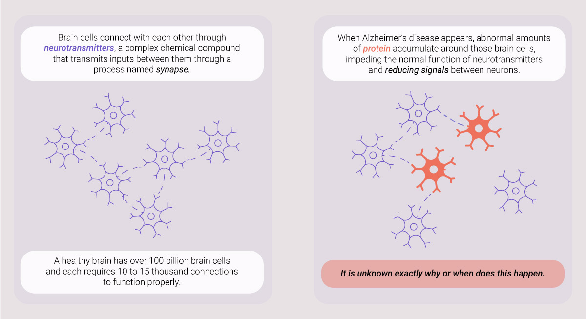 What Causes Alzheimer What Causes Alzheimer