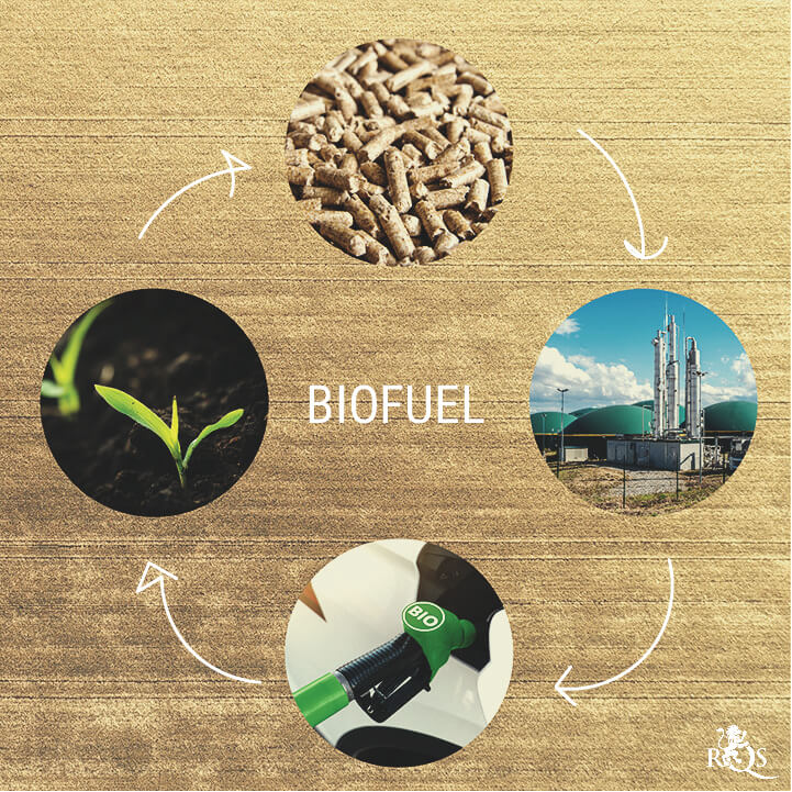 What Exactly Are Biofuels?