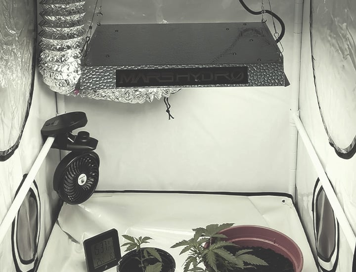 Growing Cannabis Indoors Growing Cannabis Indoors