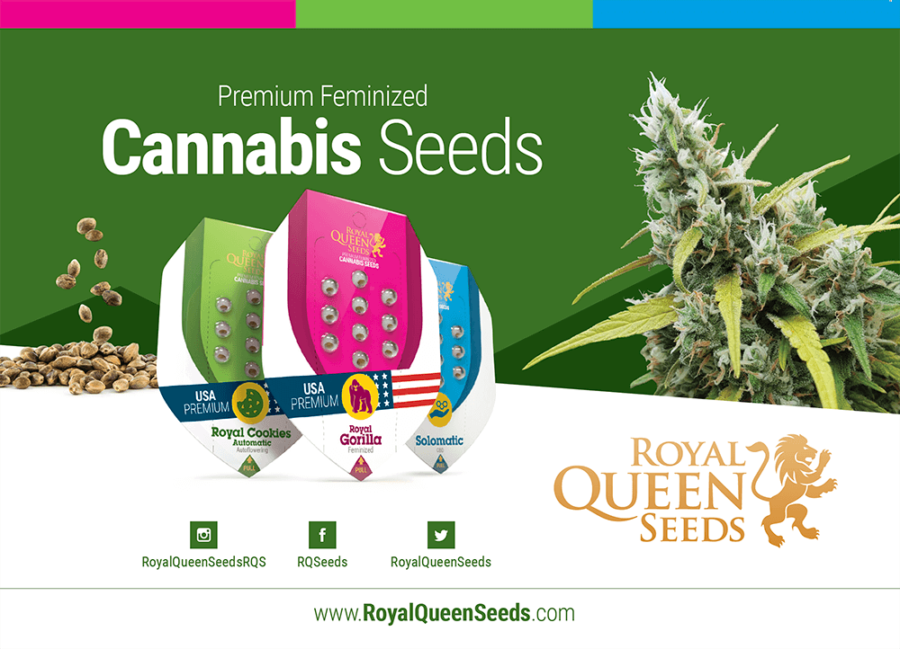 Cannabis Seed Catalogue