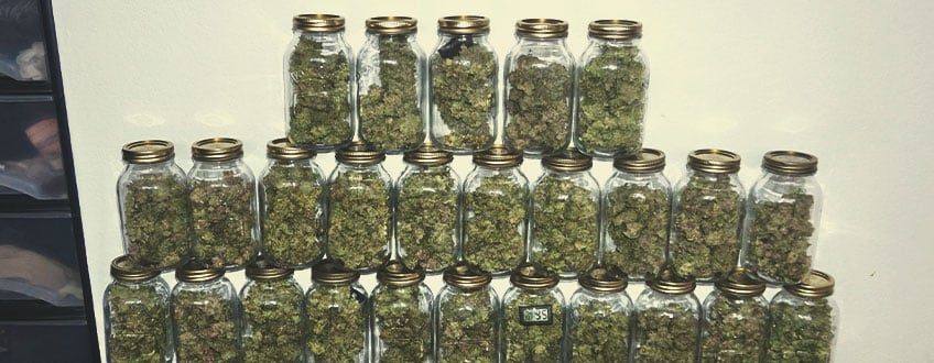 Curing Curing