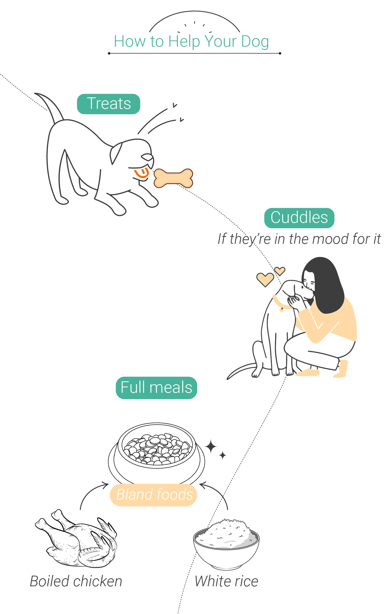 Zwierzęta i konopie: co zrobić, jeśli Twój pies jest na haju
