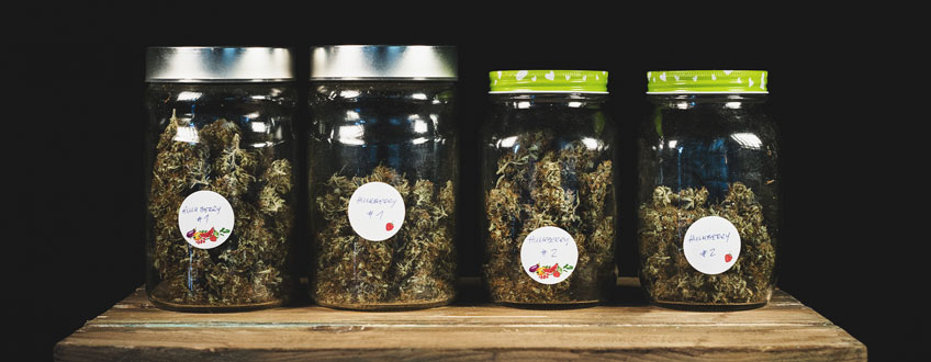 Jars Jars