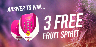 Answer to win 3 FREE Fruit Spirit