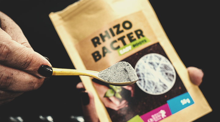 Ryzobakterie Ryzobakterie