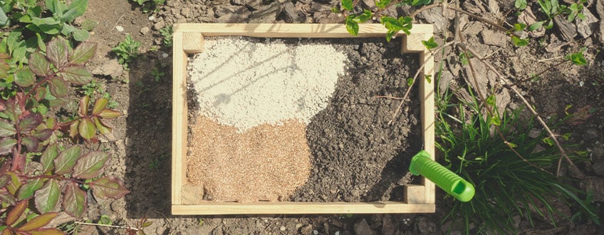 Więcej wskazówek dotyczących udanej organicznej uprawy marihuany outdoor