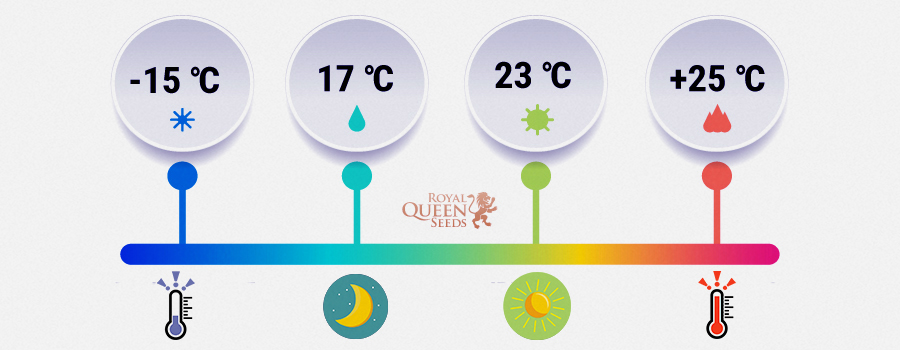 TEMPERATURA KIEŁKOWANIA JEST KLUCZOWA TEMPERATURA KIEŁKOWANIA JEST KLUCZOWA