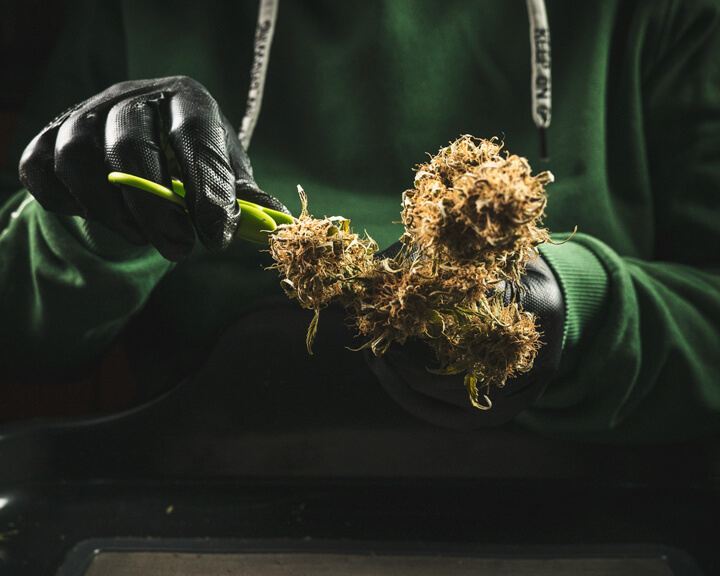 Trimming Trimming