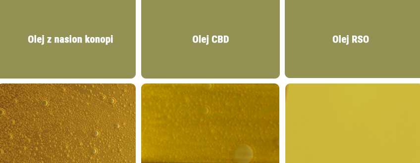 Olej CBD a inne rodzaje olejów